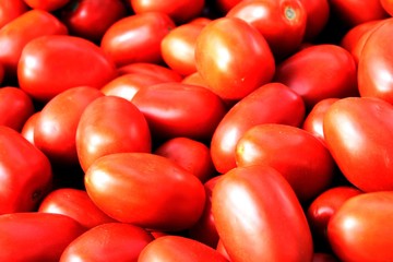 red tomatoes