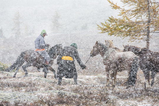 mongolian horsemen with their horses in a snow storm