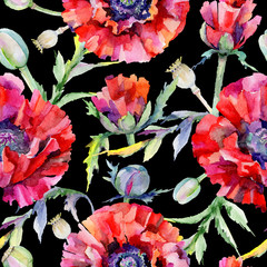 Wildflower poppy flower pattern in a watercolor style. Full name of the plant: red poppy. Aquarelle wild flower for background, texture, wrapper pattern, frame or border.