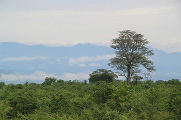 Obraz premium Sri Lanka