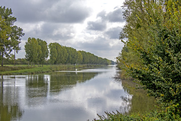 Bords de Loire, nature, ciel, oiseux