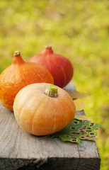 decor for the holiday of Halloween, orange pumpkins on a wooden table, agriculture, harvesting of autumn harvest