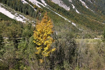 Es wird Herbst in den Bergen