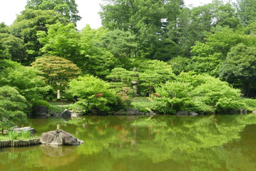 Fototapeta na wymiar Plants, water pond with reflection in Japanese zen garden