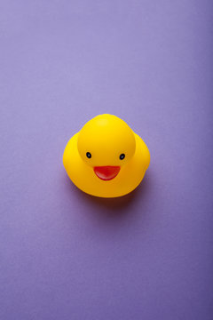 Yellow funny duck toy on purple background, vertical.