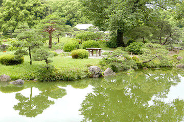 Fototapeta na wymiar The green tree, plants, Japanese zen garden and lake