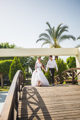 loving wedding couple walks, bride and groom