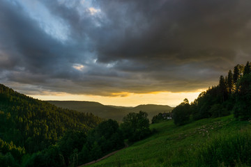 Naklejka na ściany i meble Black Forest Germany dramatic sunset sky over herd of sheep ahead of endless forest landscape