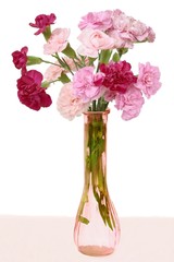 multicolor carnations