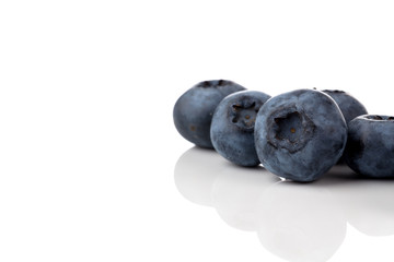 blueberries isolated close up