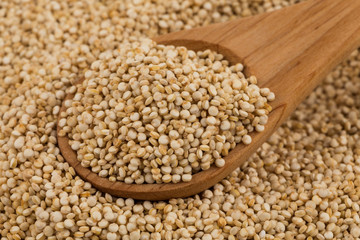 Quinoa seeds close up