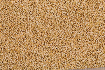 Quinoa seeds close up