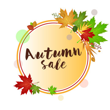Autumn sale card with leaves. Red orange and green.