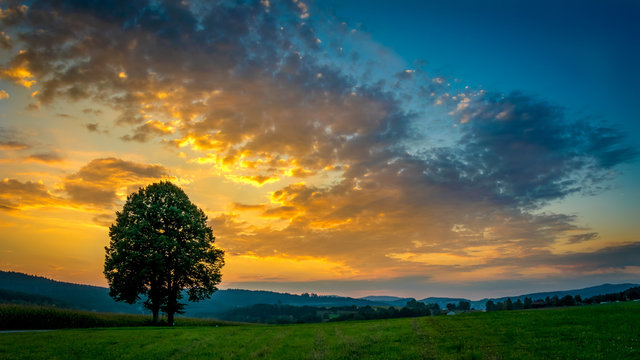 Sonneuntergang mit abendort und einsamen Baum im bayerischen wald