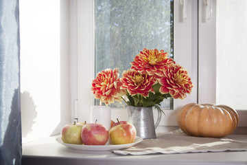the Autumn still life with red dahlias in a tin jar, pumpkin, a cup of tea and apples on the window in sunny weather