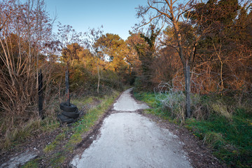 Abandoned road with large opened gate