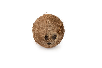 Whole Coconut isolated on purewhite background