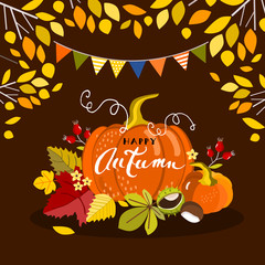 Autumn pumpkin, vector illustration