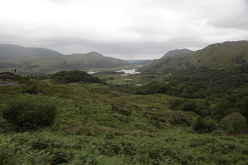 Naklejka premium Ireland-juin-juillet-2017