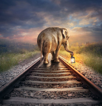 Manipulation background sale hd