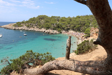 bella vista di una spiaggia a Ibiza