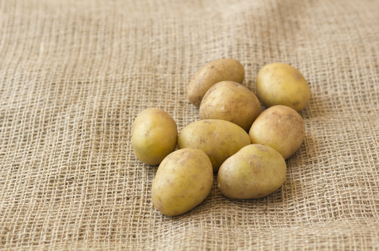Potato