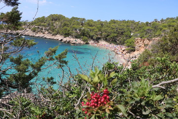 bella vista di una spiaggia a Ibiza