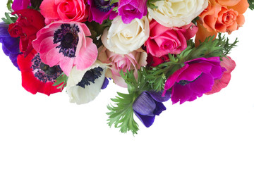 Fresh colorful anemones and roses flowers border close up isolated on white background