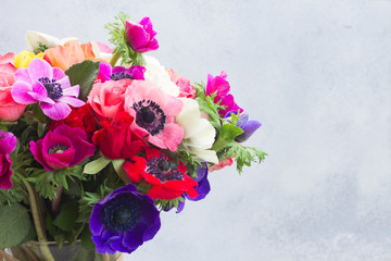 Fresh colorful Anemones blooming flowers bouquet close up on gray stone background