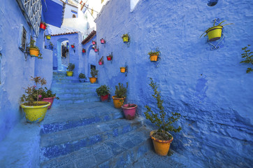 Blue wall and staircase decorated with colourful flowerpots.
