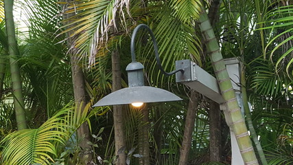 Light Pole in Key West