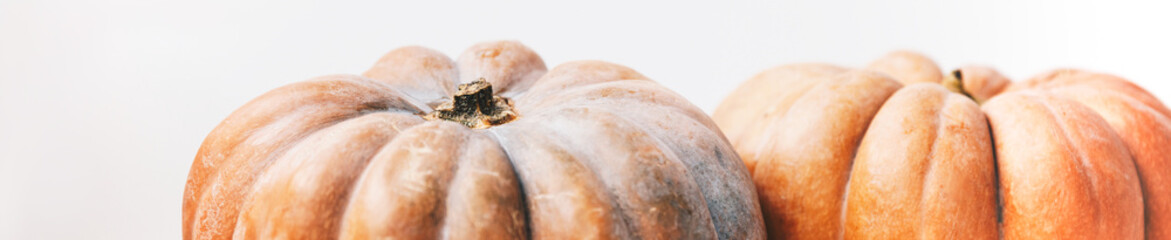 Couple ripe autumn pumpkin on white table on kitchen. Minimalism style,copy space