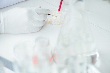 Female scientist researcher conducting an experiment in a labora