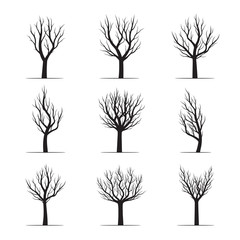 Obraz premium Set of Black Tree. Vector Illustration.