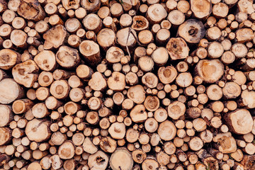Holzstapel, Holzpolter aufgestapelt in verschiedenen Größen im Wald