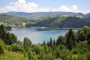 Fototapeta na wymiar Zaovine lake, Tara mountain, Serbia. Summer lake landscape