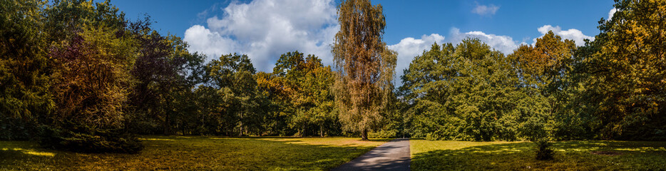 schöne Herbststimmung im Park mit Weg