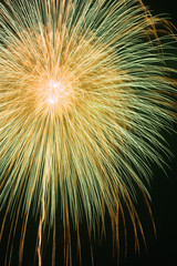 Fototapeta premium hanabi