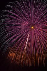 Obraz premium hanabi