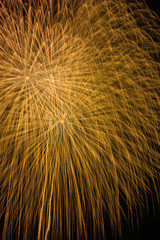 hanabi