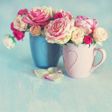Close-up floral composition with a pink roses on a blue background.Beautiful fresh roses. 