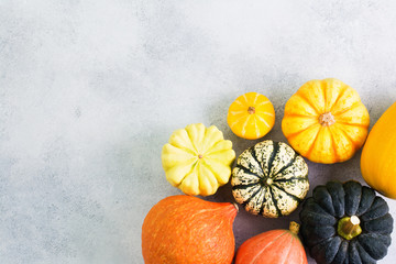 Above view of different varieties of pumpkins and gourds on the off white background, selective...