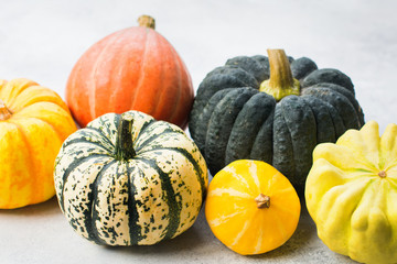 Close up of different pumpkins and gourds on the off white background, copy space for text,...