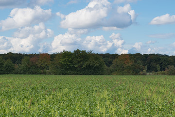 Agrar Flächen im Landwirtschaftlichen Außenbereich