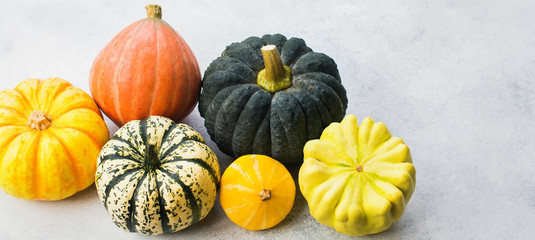 Long photo of different pumpkins and gourds on the off white background, copy space for text, selective focus
