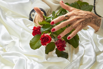 Roses in old woman well-groomed hands. Elderly woman with beautiful red manicure holding red roses...