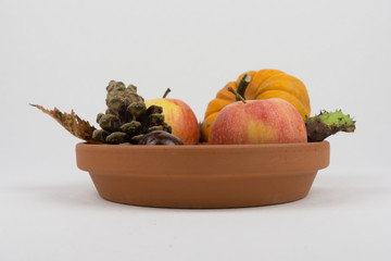 kürbis dekoration im herbst für gastronomie oder halloween