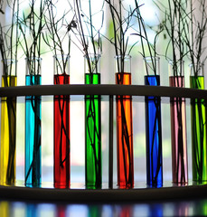 medical test tubes with colored liquid close-up