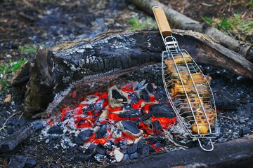 Pieces of marine fish are fried on the barbecue on hot coals during a picnic in countryside