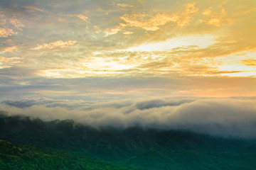 Landscape image  view of   fog  In the morning,Thailand . Copy space for text or image.